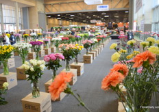 Novelties competition